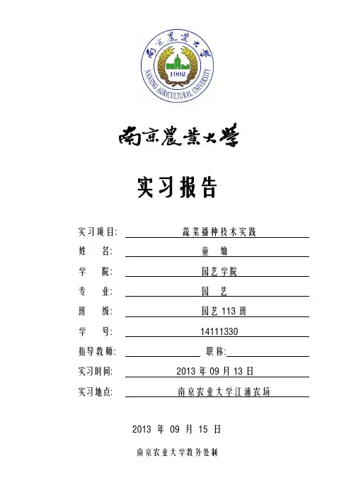 南京农业大学-园艺栽培学实习-蔬菜播种技术实习报告