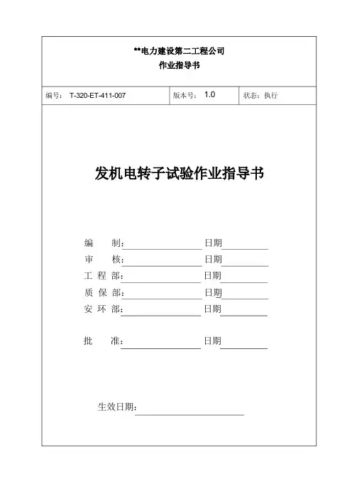 发电机转子试验作业指导书