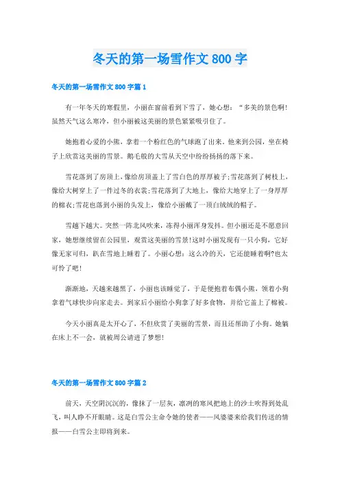 冬天的第一场雪作文800字