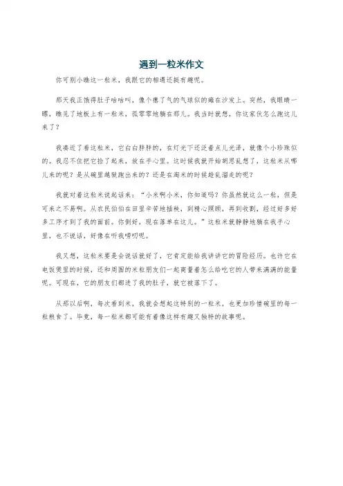 遇到一粒米作文