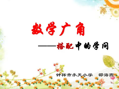 人教2011版小学数学三年级搭配中的学问 (10)