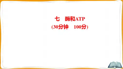 2022年人教版高中生物总复习第二部分考点培优训练 考点七酶和ATP