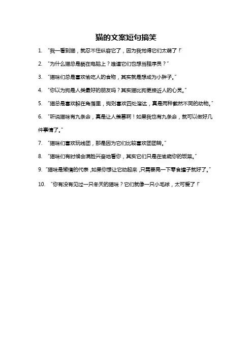 猫的文案短句搞笑
