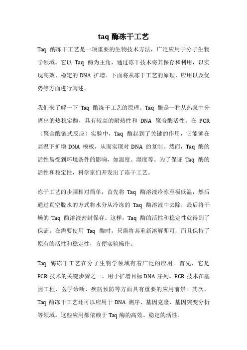 taq酶冻干工艺