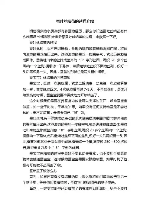 蚕吐丝结茧的过程介绍