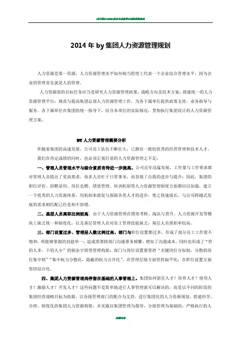 2014年集团人力资源管理规划