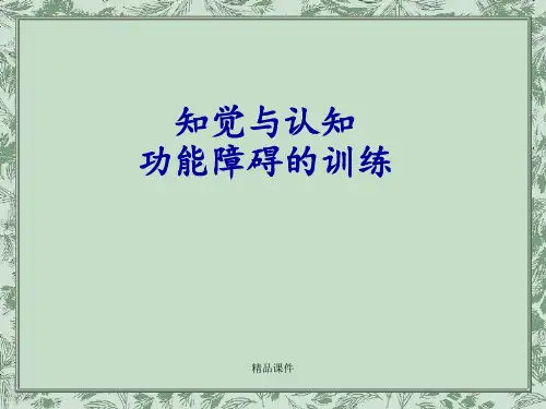 知觉与认知功能的训练