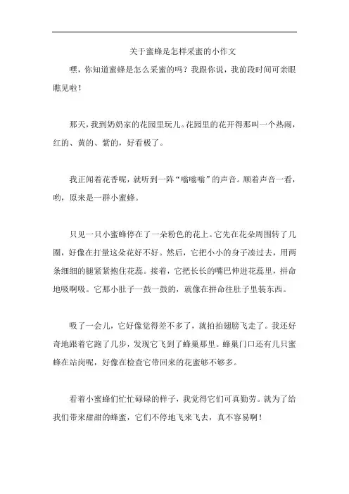 关于蜜蜂是怎样采蜜的小作文