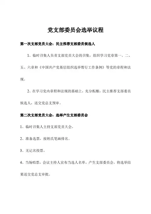 党支部委员会选举议程