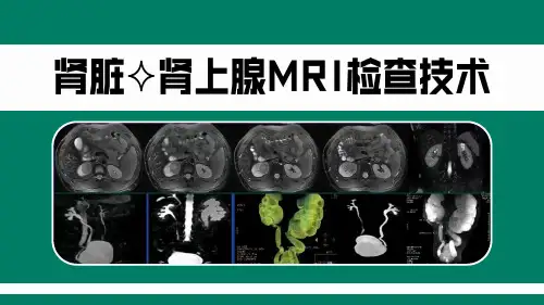肾脏与肾上腺MRI检查技术