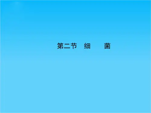 秋八年级生物上册 第五单元 第四章 第二节 细菌课件 (新版)新人教版