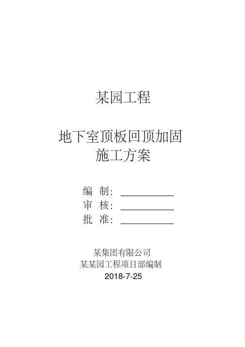 某项目地下室顶板回顶专项施工方案