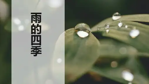 《雨的四季》ppt课件