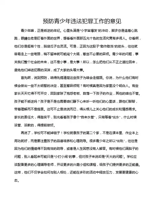 预防青少年违法犯罪工作的意见