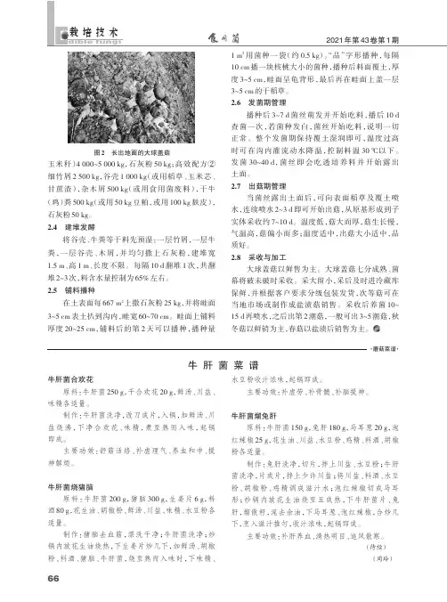 牛肝菌菜谱