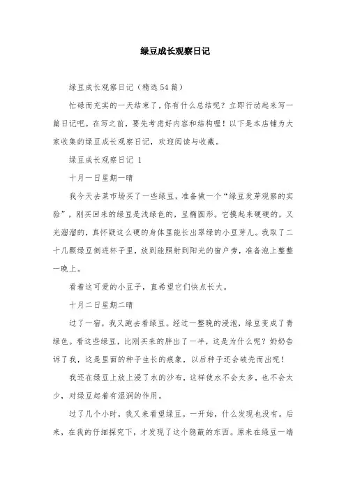 绿豆成长观察日记