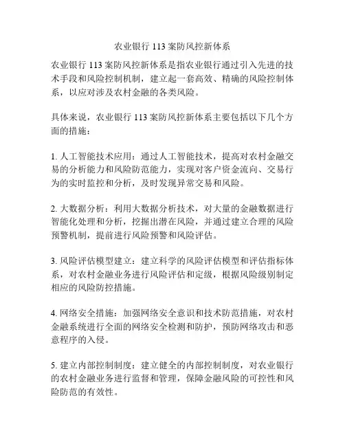 农业银行113案防风控新体系