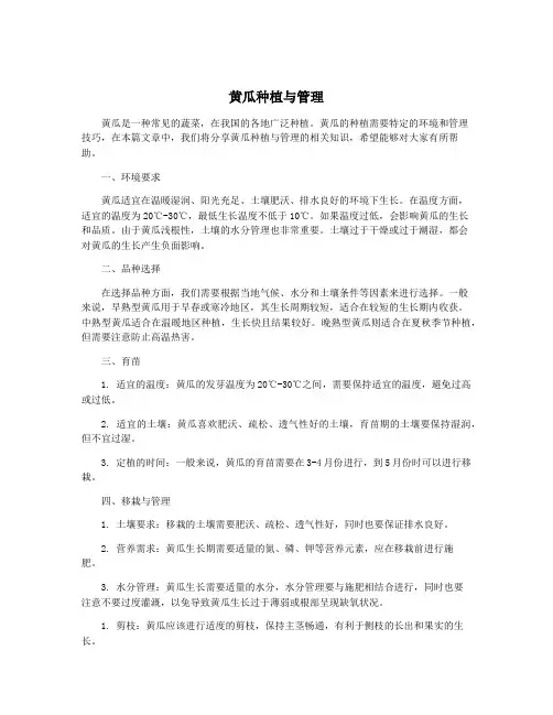 黄瓜种植与管理