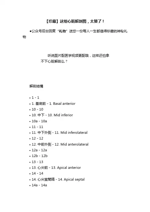【珍藏】这组心脏解剖图，太赞了！