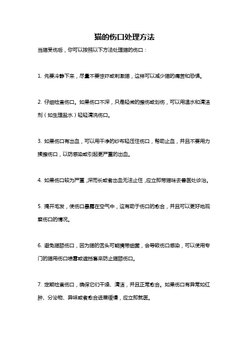 猫的伤口处理方法
