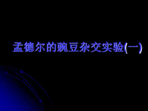 高三总复习模块二遗传与进化1遗传基本规律