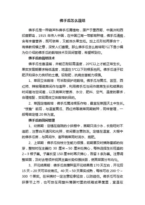 佛手瓜怎么栽培