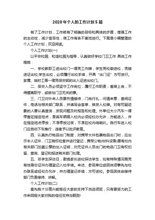 2020年个人的工作计划5篇