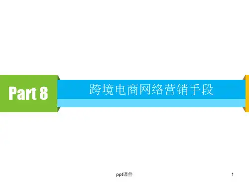跨境电商网络营销手段  ppt课件