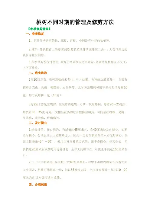 桃树不同时期的管理及修剪方法【精选文档】