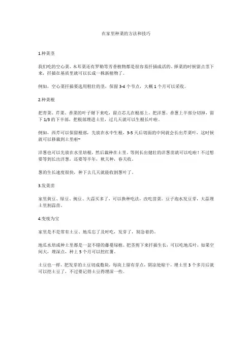 在家里种菜的方法和技巧