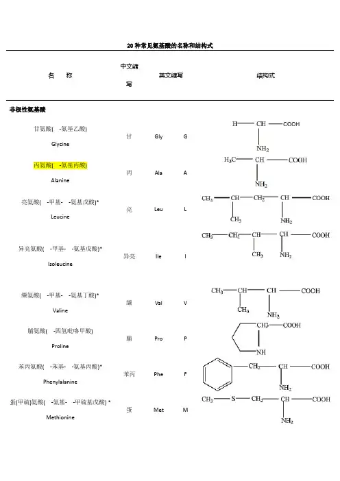 二十种氨基酸结构式