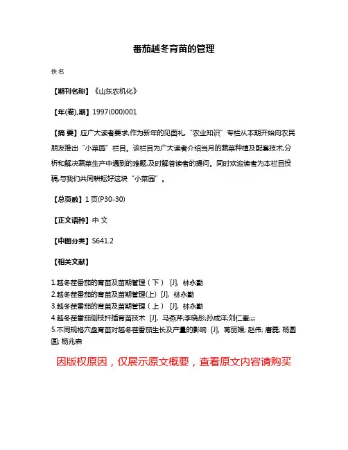番茄越冬育苗的管理