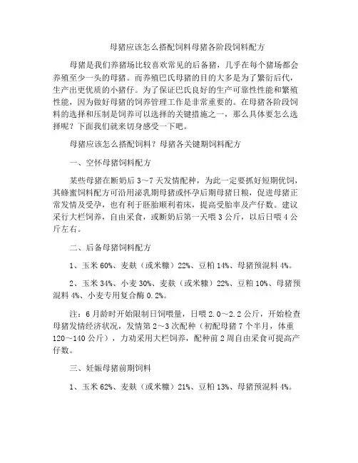 母猪应该怎么搭配饲料母猪各阶段饲料配方
