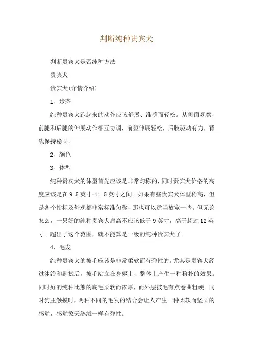 判断纯种贵宾犬