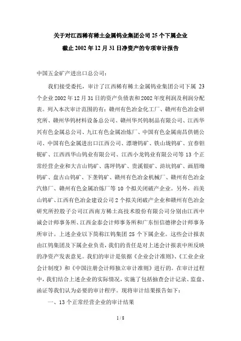 专项报告净资产的专项审计报告