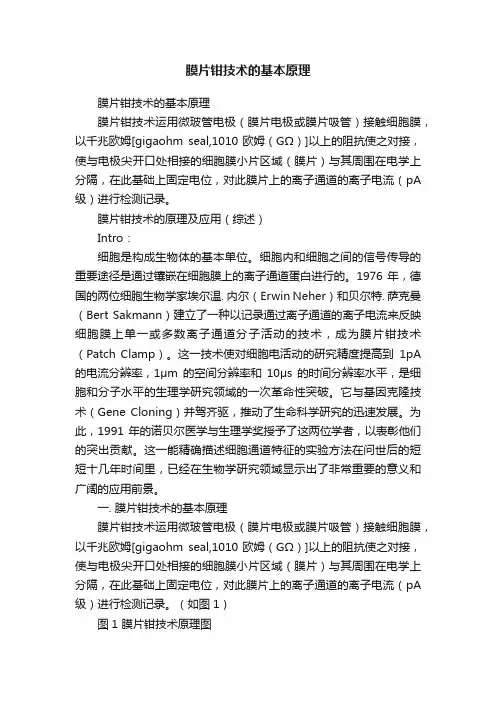 膜片钳技术的基本原理