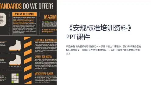 《安规标准培训资料》课件