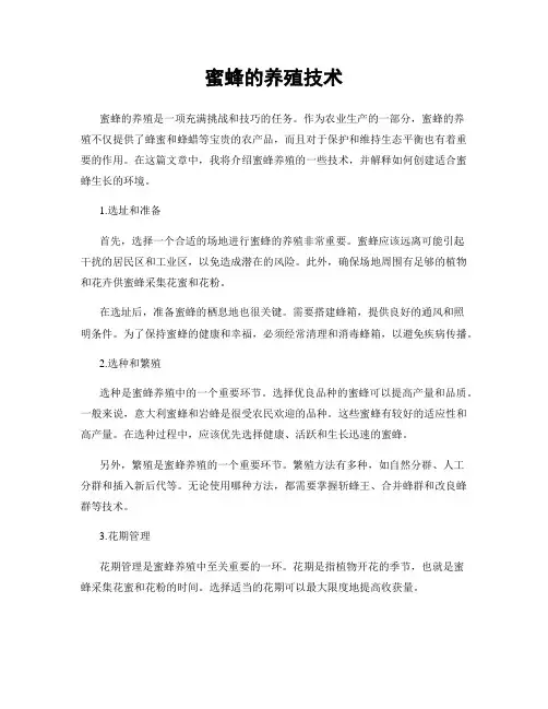 蜜蜂的养殖技术
