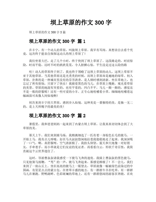 坝上草原的作文300字
