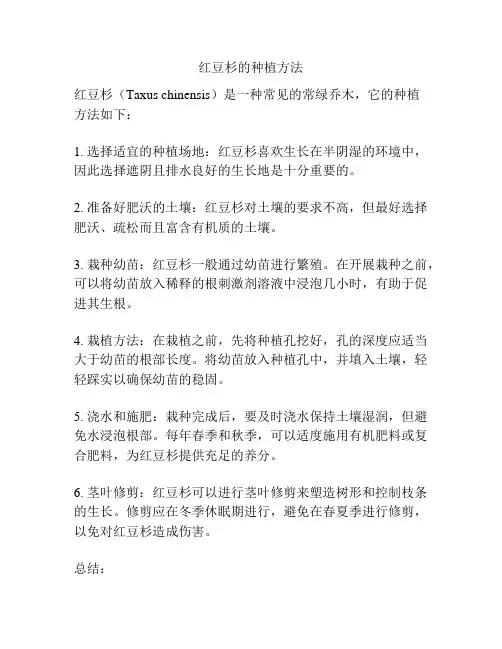 红豆杉的种植方法