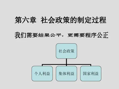 6.社会政策的制定过程