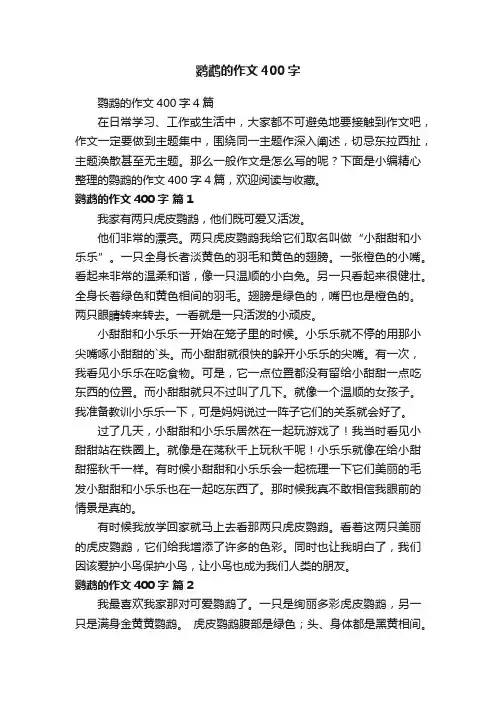 鹦鹉的作文400字