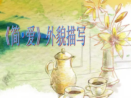 简爱外貌赏析
