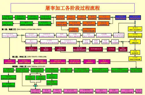 肉鸭屠宰工艺流程
