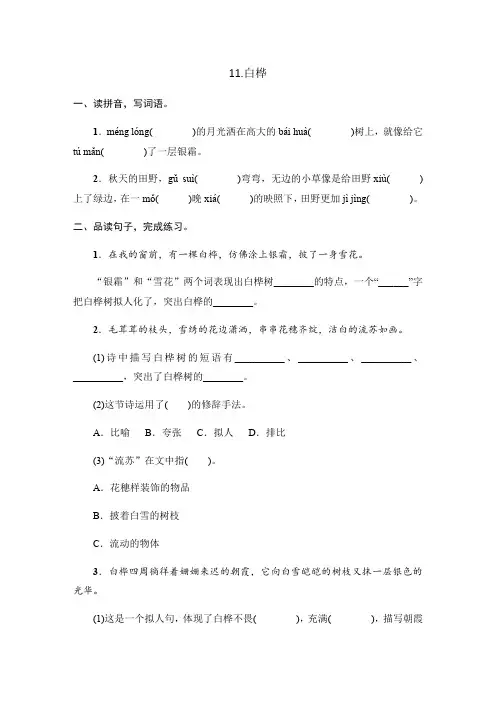 人教部编版四年级下册语文一课一练 11《白桦》同步习题(含答案)