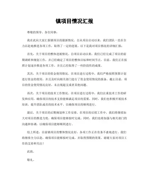 镇项目情况汇报