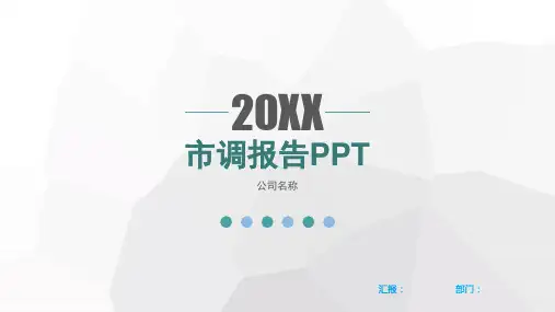 市调报告模版