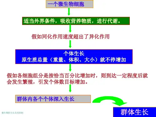 微生物的生长及其控制