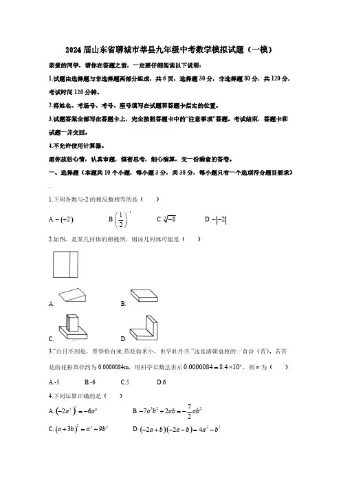 2024届山东省聊城市莘县九年级中考数学模拟试题(一模)附答案
