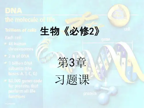 高一生物基因的本质